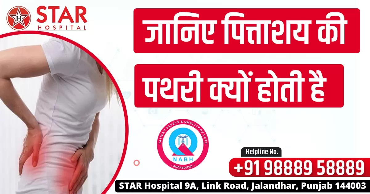 WhatsApp Image 2023 05 15 At 12.40.02 PM