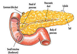 LAPAROSCOPIC PANCREATIC - Dr. Jasmeet Singh Ahluwalia