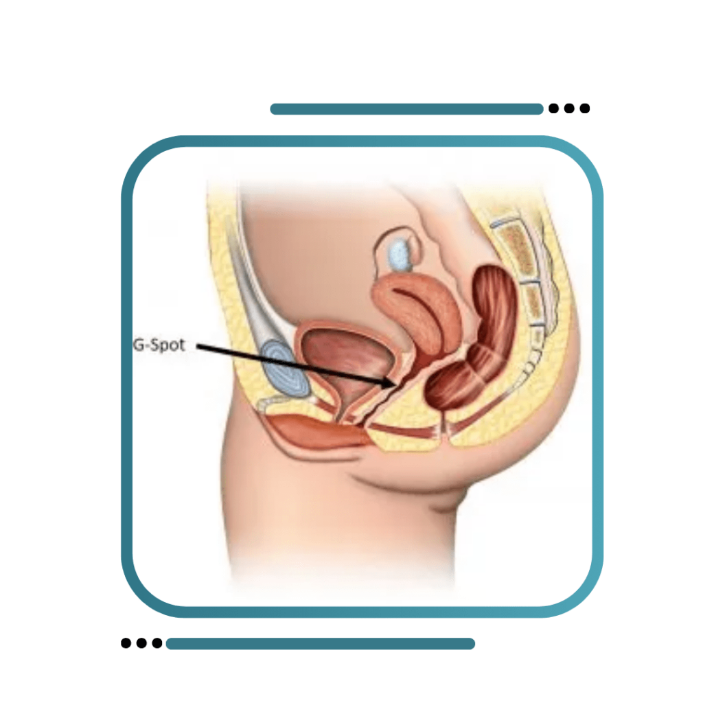 G Spot And O Shot Amplification Treatment