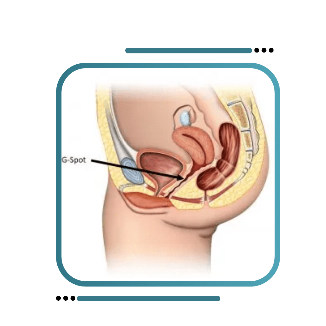 G Spot And O Spot Amplification Treatment